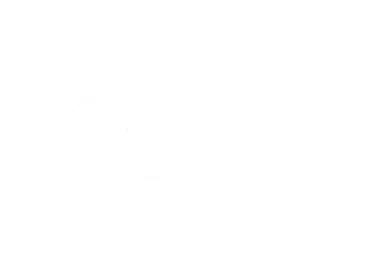 Gone Astray films